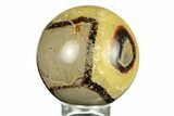 Polished Septarian Sphere - Madagascar #260040-1